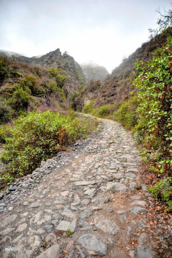 Naturaleza Viva El Socorro 外观 照片