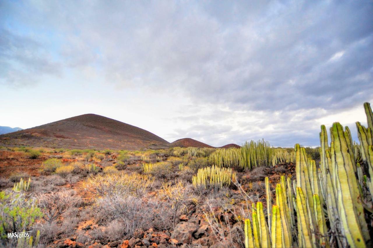 Naturaleza Viva El Socorro 外观 照片